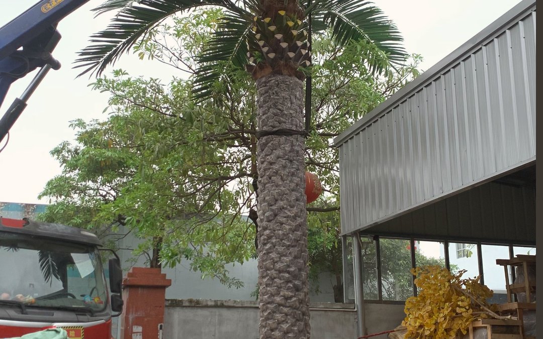 palm tree being lifted from the delivery truck at the factory yard