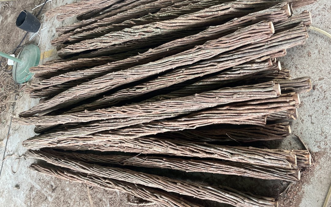 fiberglass trunk shells stacked on the workshop floor