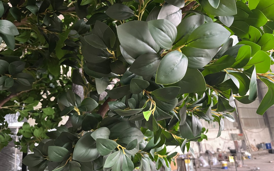 Close view of molded ficus-style foliage with vein detail and pale stems