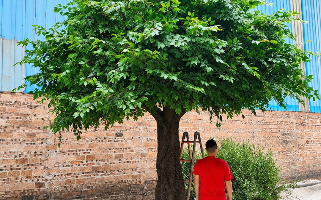 Specimen checked outdoors with a ladder beside a brick wall