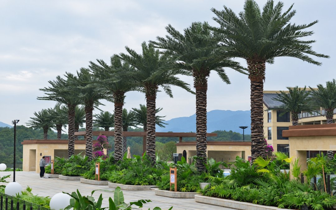 Row of artificial palms in raised planters along a plaza edge