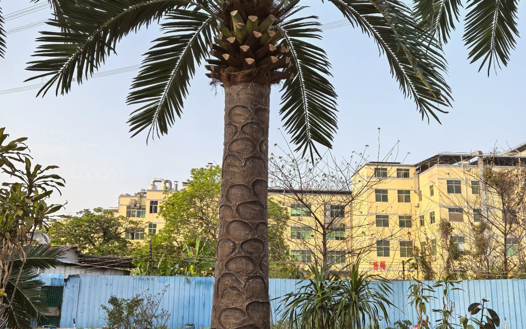 Submittals for artificial trees: the five documents a contractor needs, review and resubmittal times, and the gaps that stall consultant approval.