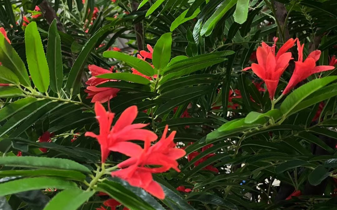 Close view of artificial red blossom clusters and molded leaf detail