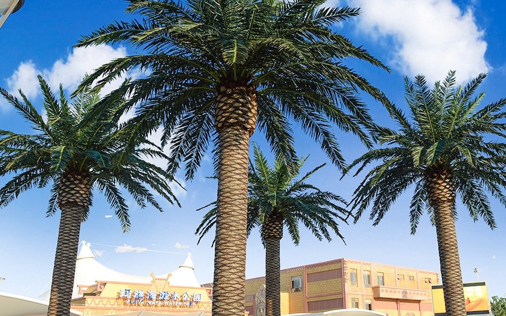 A 22-palm resort pool terrace case study: splash-zone hardware, 45 m/s gust anchoring, three 40HQ loads and five night installation windows.
