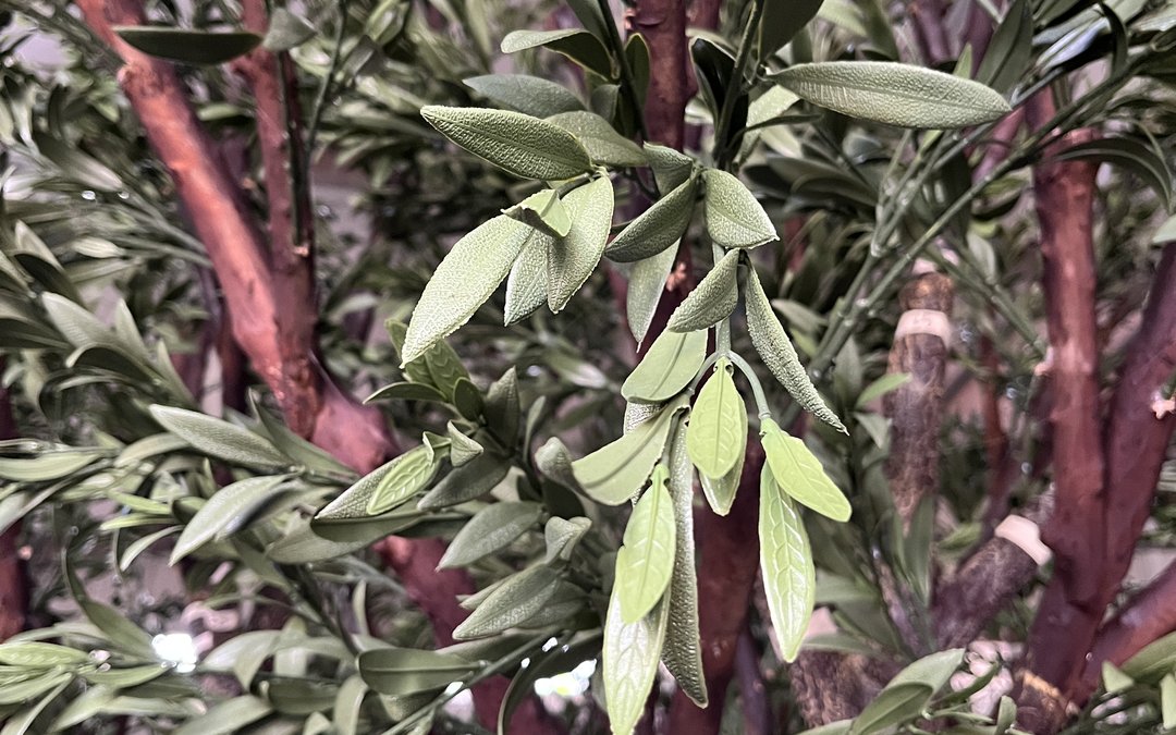 Close view of artificial olive foliage with moulded vein detail on reddish-brown branchwork