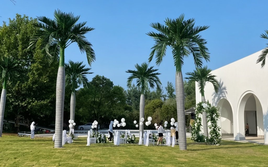 How a 5 m date palm is blocked and lashed inside a 40HQ: CTU Code accelerations, timber dunnage, VGM and the load-out photos that decide a damage claim.