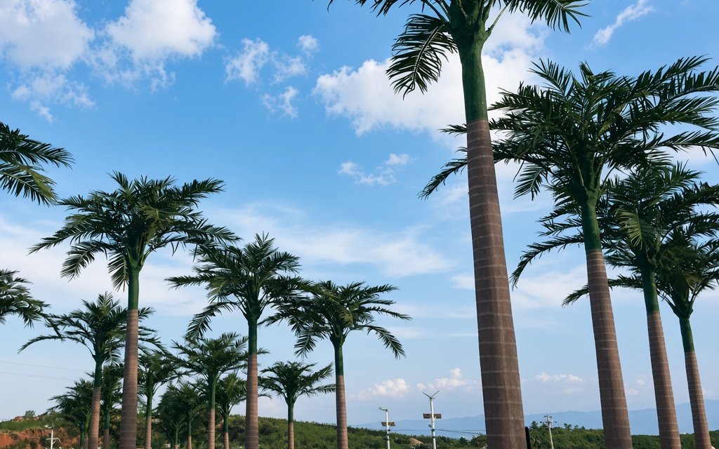 Stand of outdoor artificial palm trees in landscaping