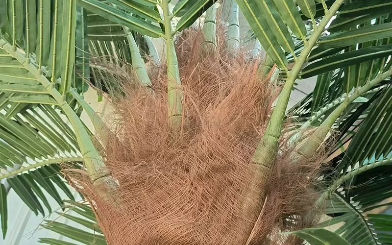 Palm crown fibre and frond base detail