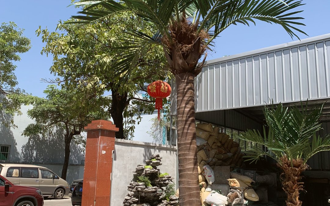 A palm specimen standing in a factory yard with stacked stock and a rockery water feature behind