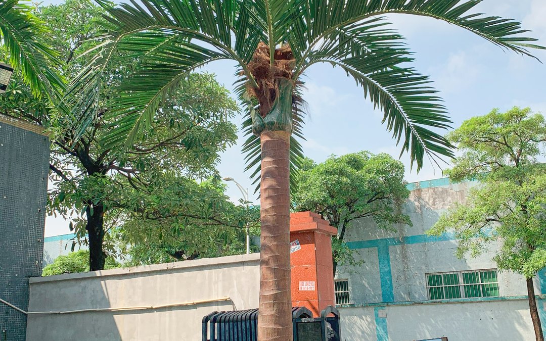 Tall artificial palms standing in a factory yard