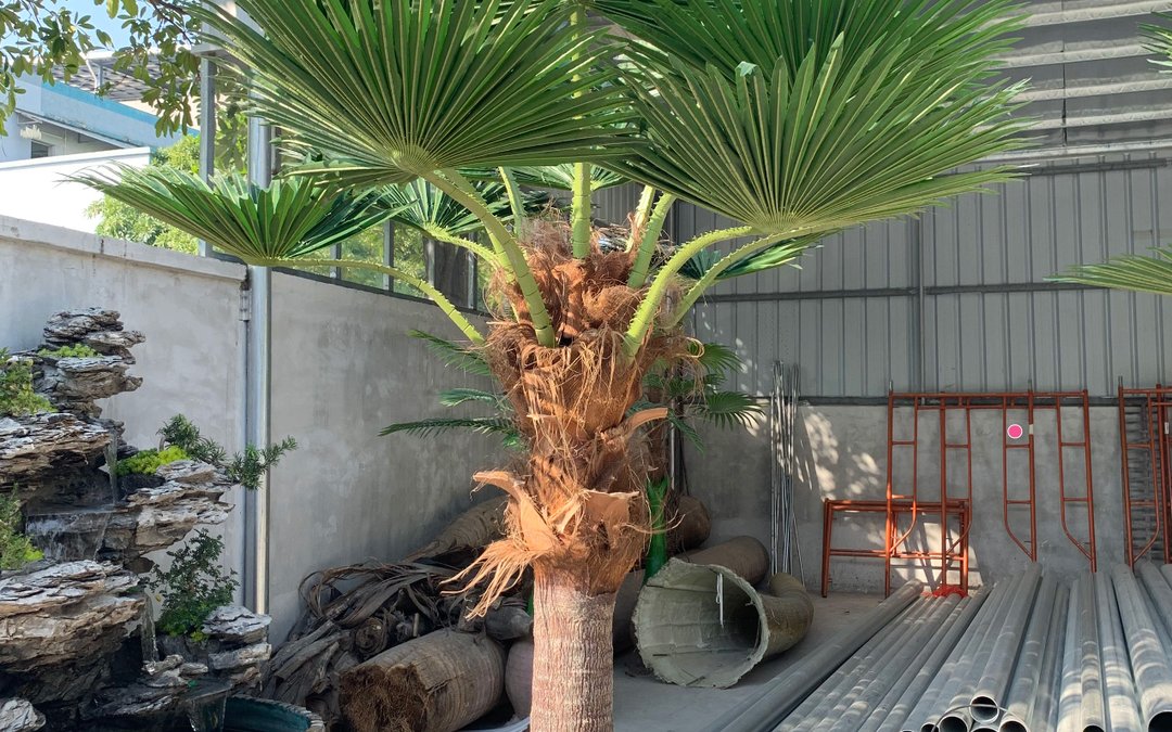 A large artificial fan palm standing in the factory yard among fibre-glass trunk shells awaiting packing