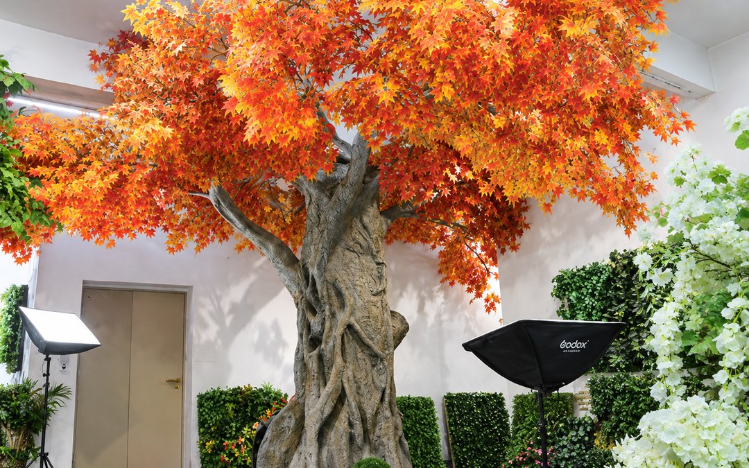 Sculpted-trunk autumn maple under studio softboxes in a showroom