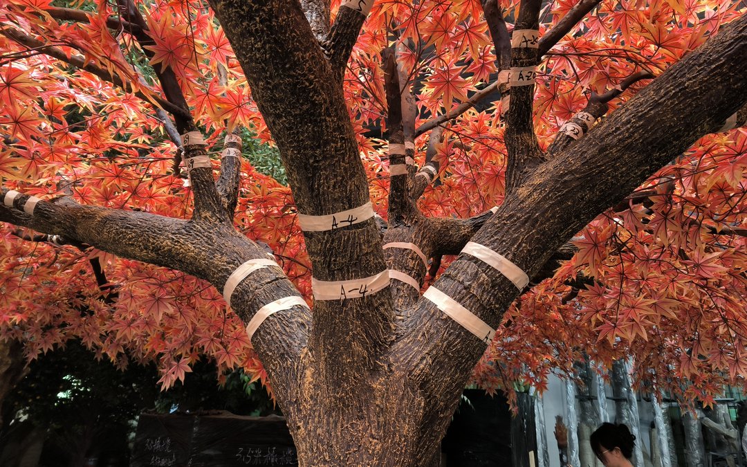 Numbered tags on the limb junctions of a red maple armature
