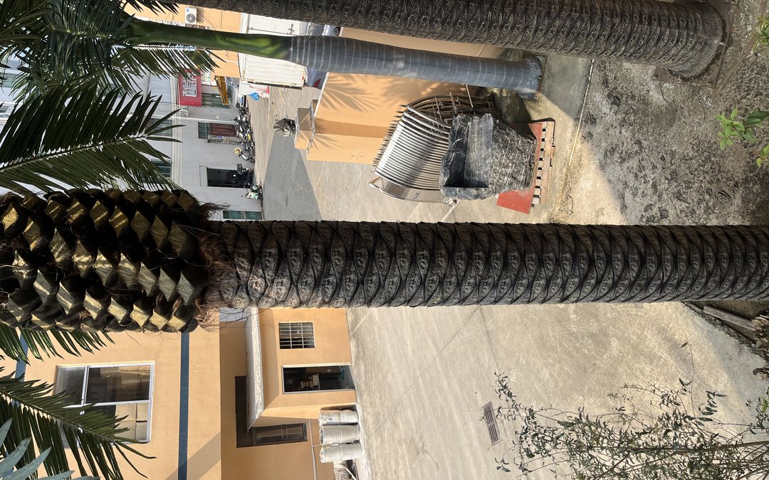 Artificial palm trunk and crown with moulded bark detail staged in the factory yard