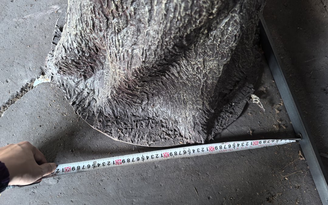 Base flange bolted to the structural slab during installation