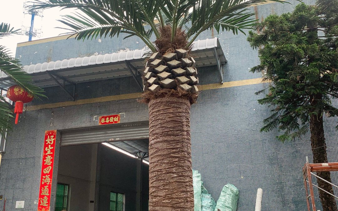 A finished palm specimen standing at the factory gate before dispatch