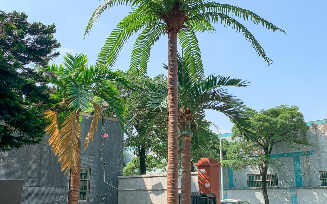 Moulded palm trunks and crowns standing in a factory yard