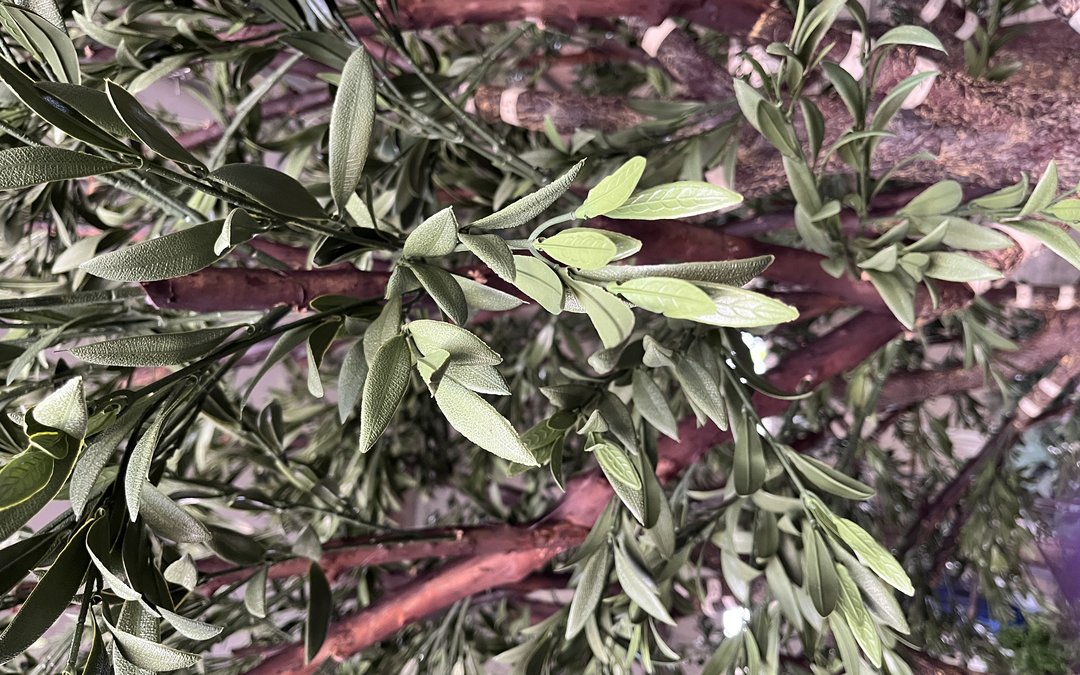 Olive foliage and branch detail on an artificial olive tree during production