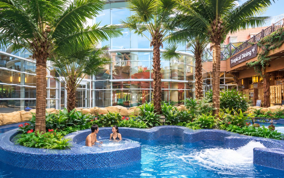 Artificial palms around a themed pool with planter walls concealing the base connections