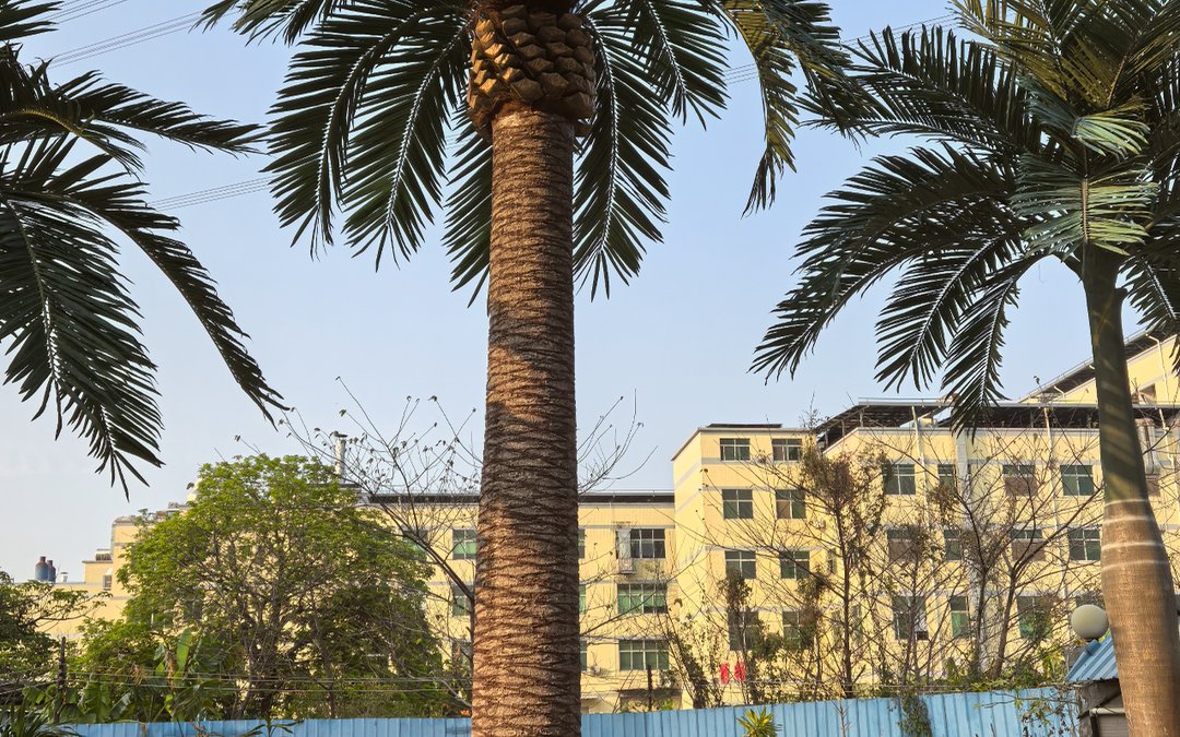 Three artificial date palms photographed from below against a sky, factory buildings behind
