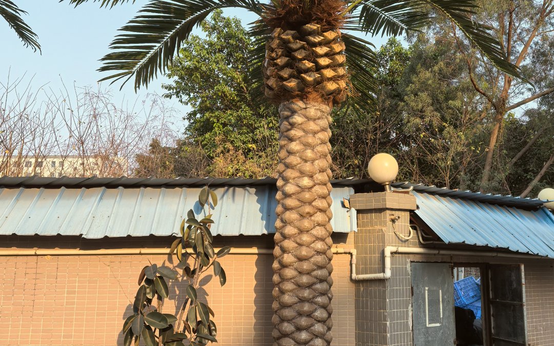 A close-up of a fibreglass date palm trunk against a corrugated workshop wall