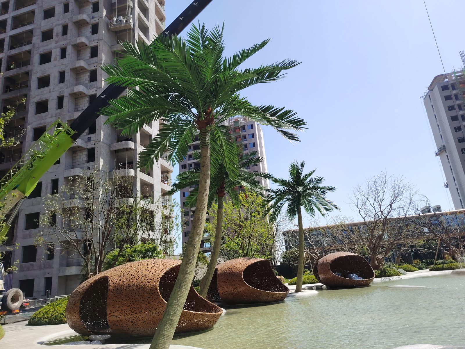 城市广场边种植的人造椰子树，背景为高层楼宇