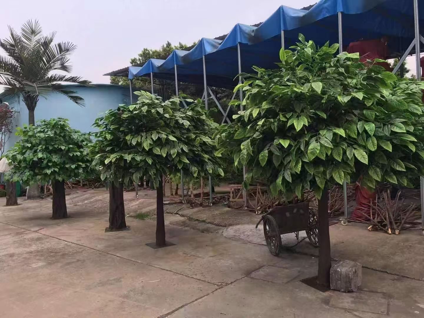 Row of artificial fruit trees standing in our factory yard before packing