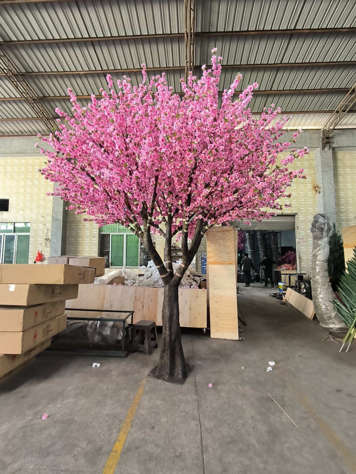 工厂车间内满冠盛开的粉色人造樱花树