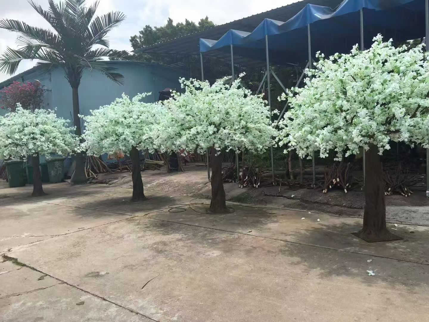 发货前在车间整备的花树 — 花树：车间与项目现场实拍