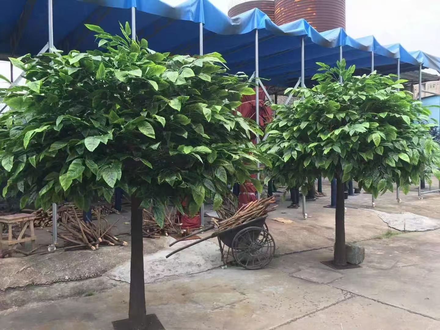 Orange tree pair at an outdoor entrance