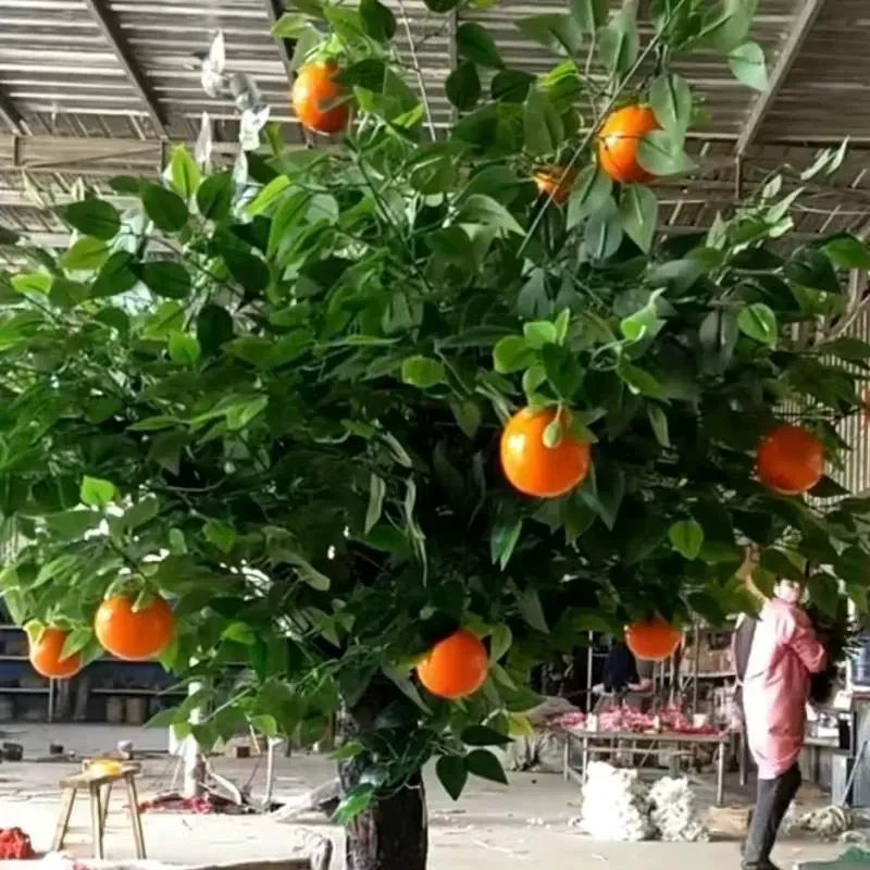 Fruit trees in production, fruit position per drawing