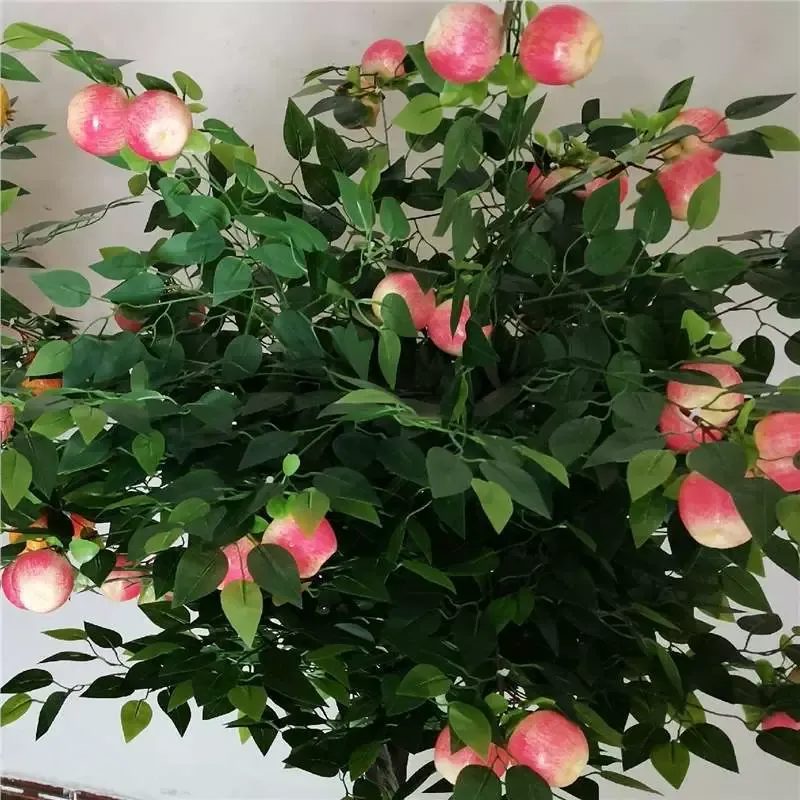 Apple cluster closeup with blush-toned fruit