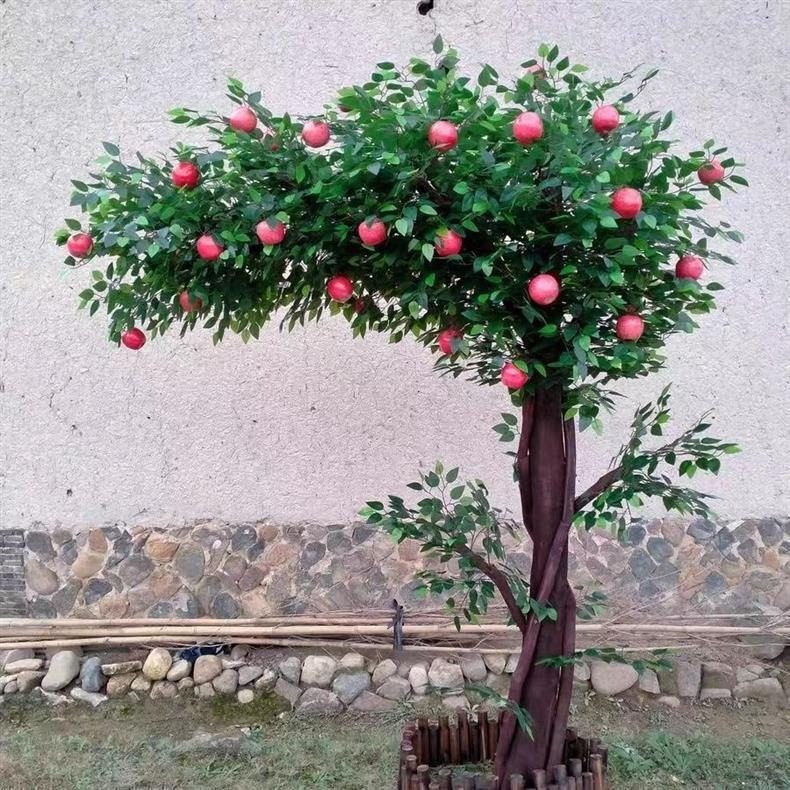 Large apple tree staged against a white wall