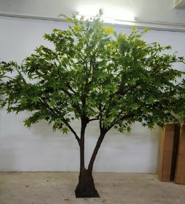 制作中的绿叶枫树 — 枫树:车间与项目现场实拍