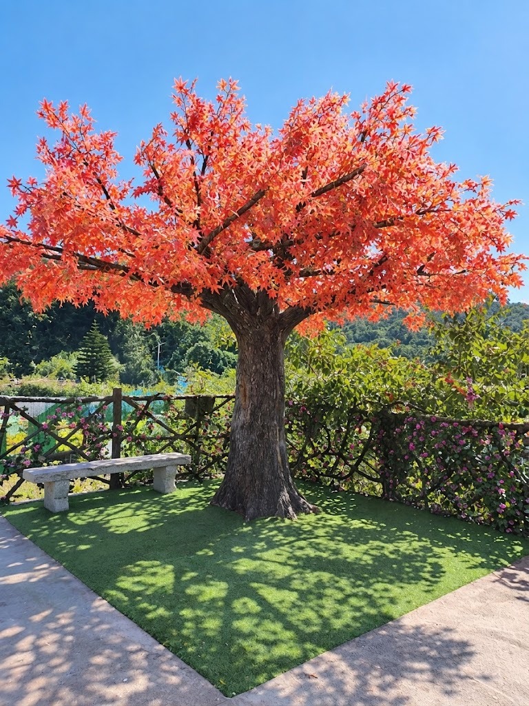 Autumn-red maple, studio shot