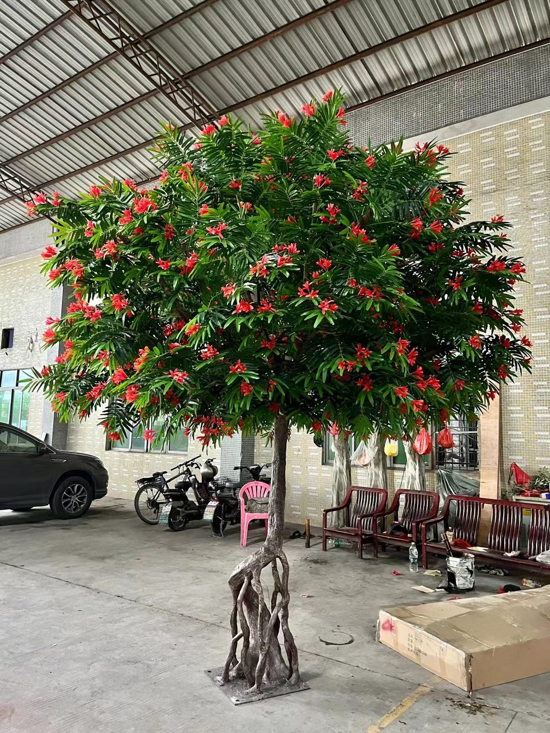 Flame tree with red canopy in the workshop
