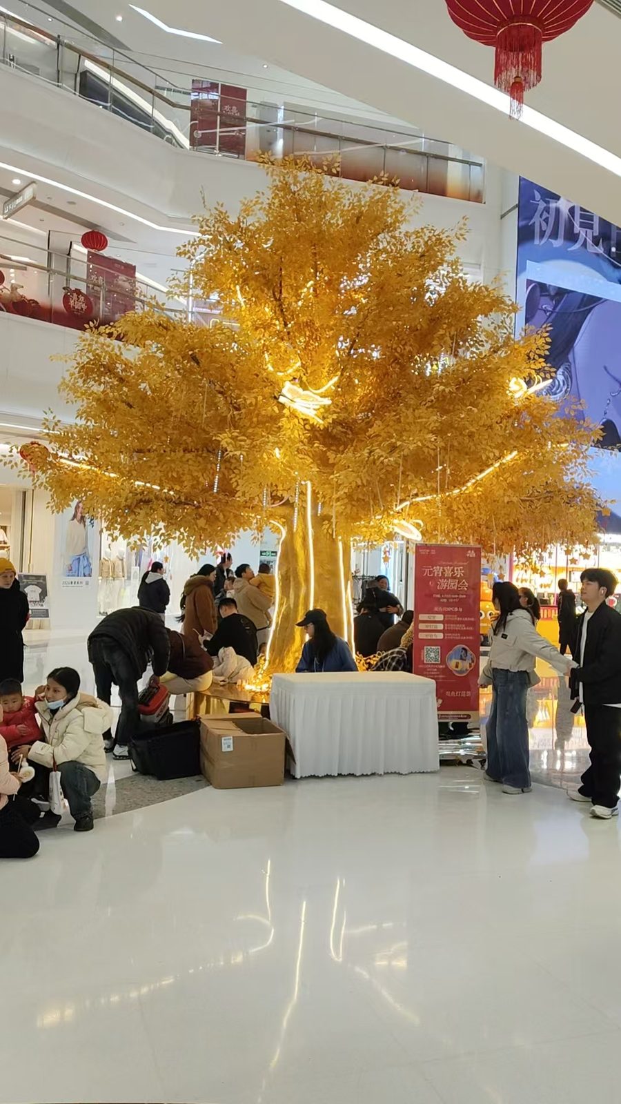 Golden ginkgo as a mall centerpiece
