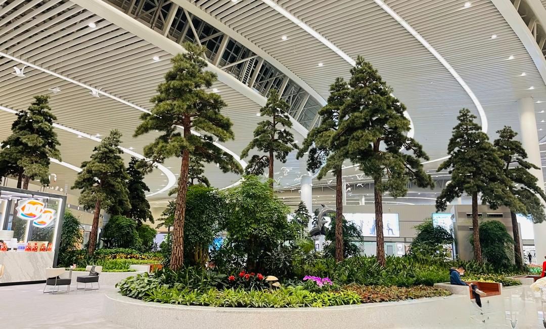Indoor pine landscape for a garden project