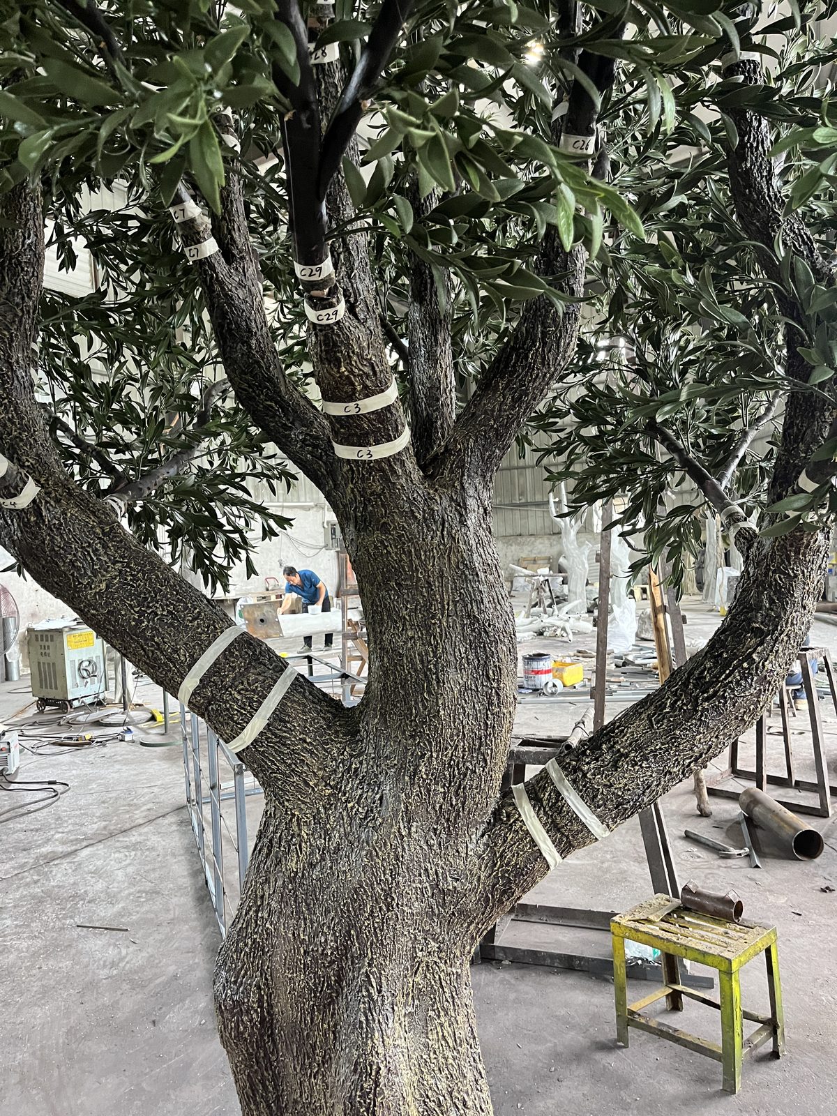 冠内视角：叶片密度与枝条结构 — 橄榄树：车间与项目现场实拍