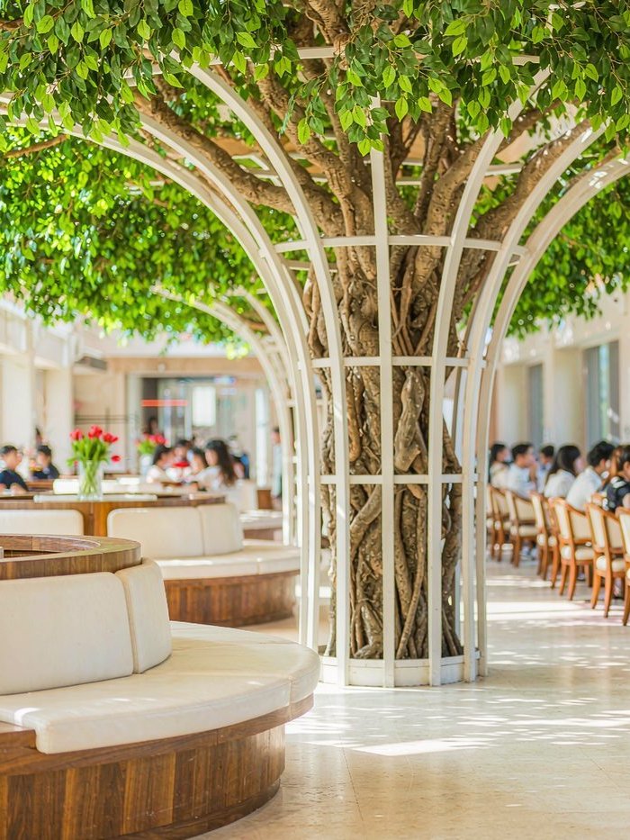 Artificial ficus canopy tree with an architectural trunk structure over guest seating
