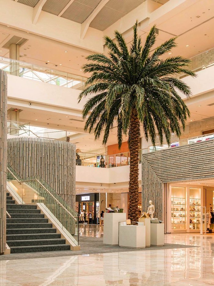Large artificial king palm tree installed in a shopping mall atrium, 4-8 m commercial grade