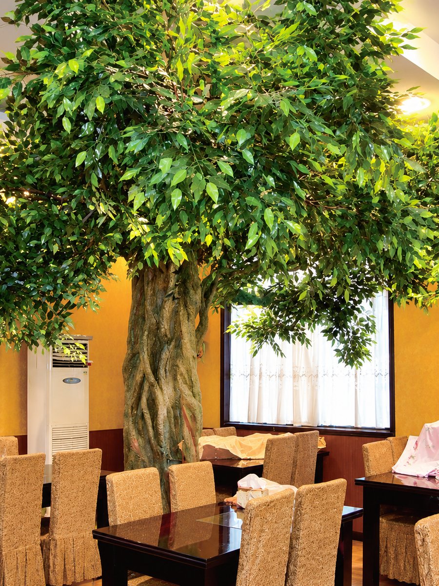 Artificial ficus feature tree spreading over restaurant dining tables