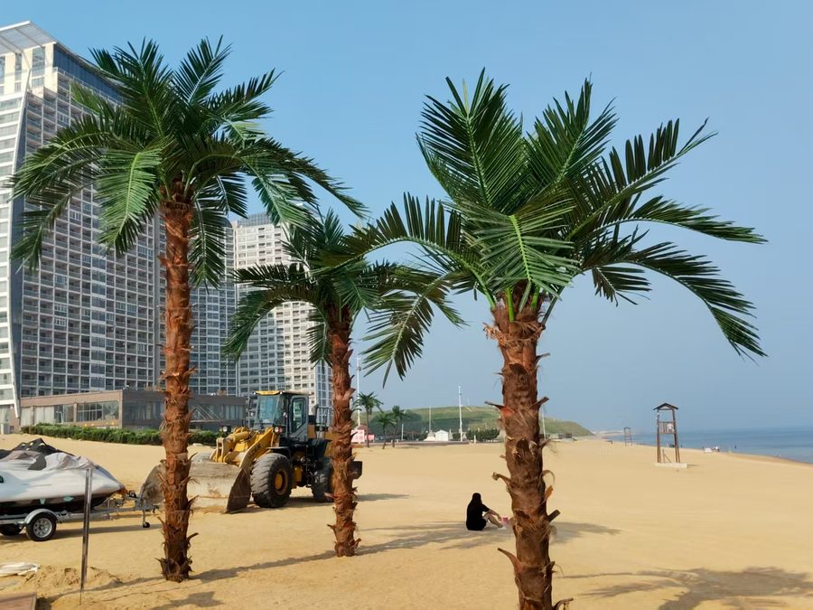 Artificial palm trees planted along a beachfront resort in Bali, Indonesia