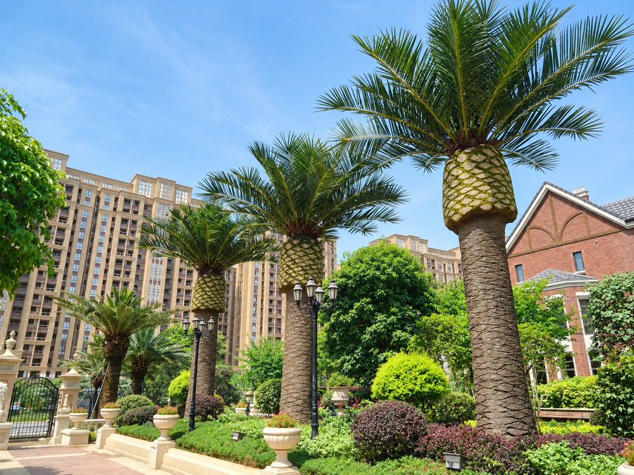 Row of artificial date palms planted in front of European-style residential buildings