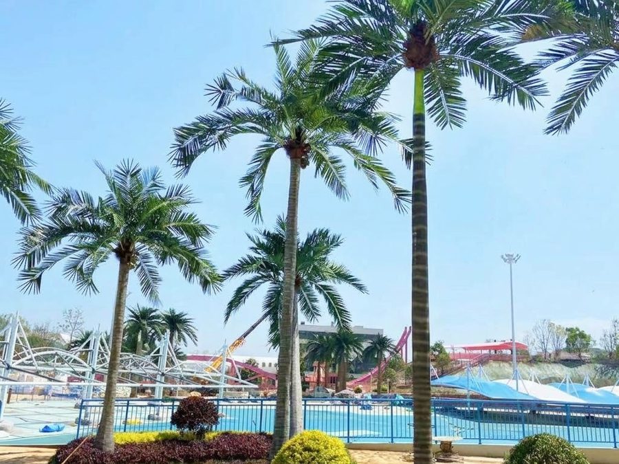 Artificial palm trees in a water park in Kuala Lumpur, Malaysia