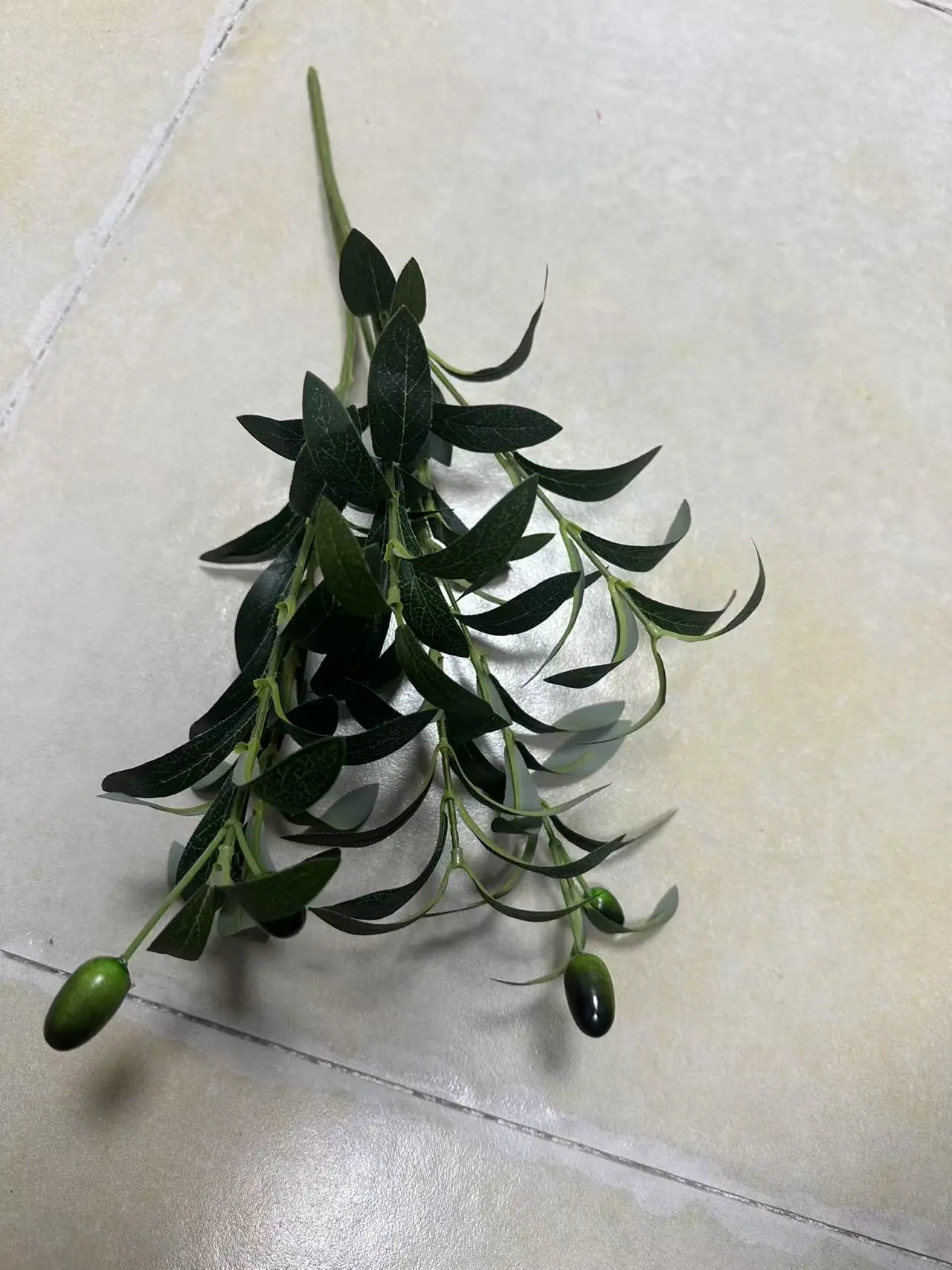Moulded olive branch showing natural vein texture