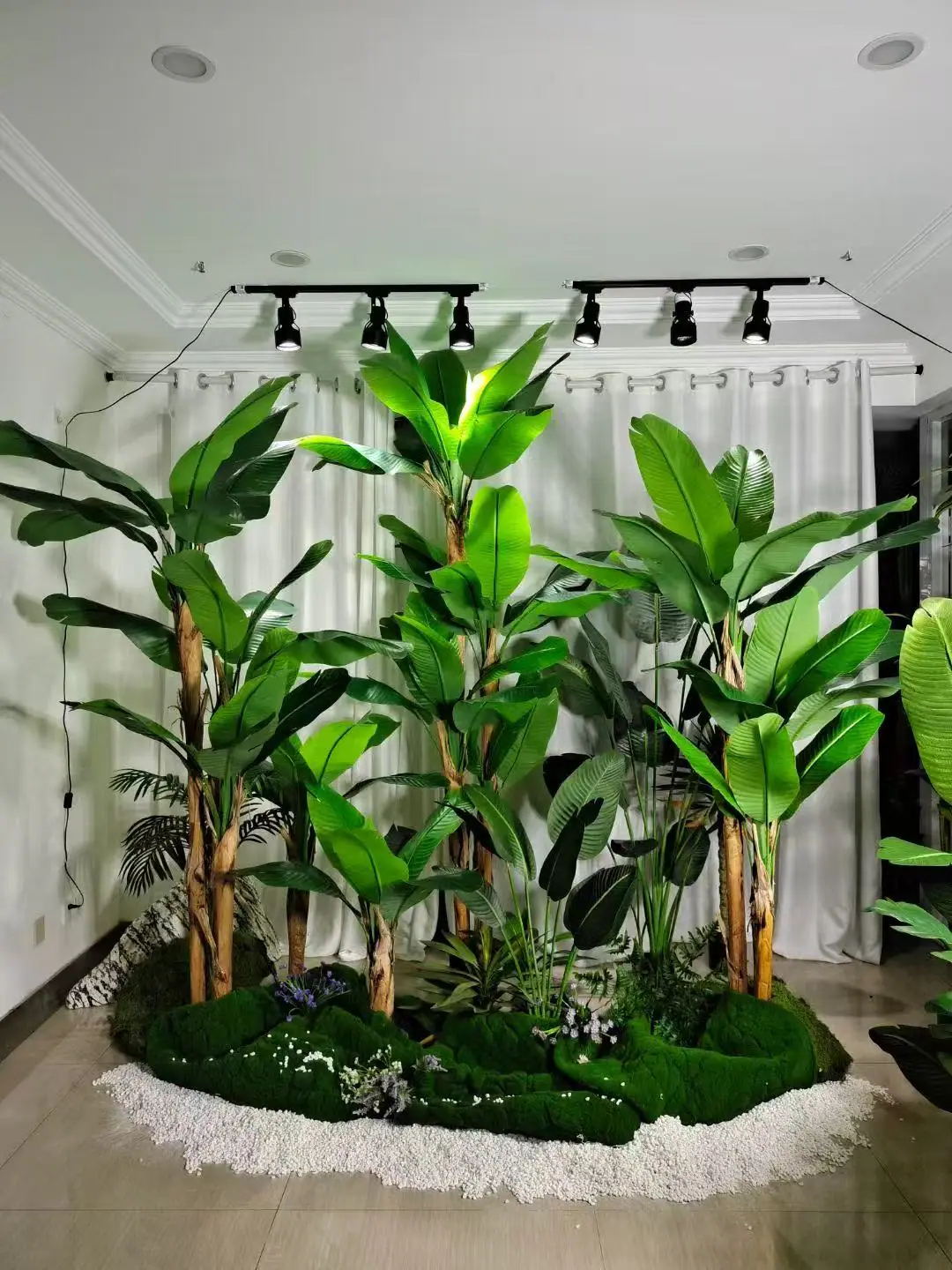 Traveller palm corner under showroom track lighting