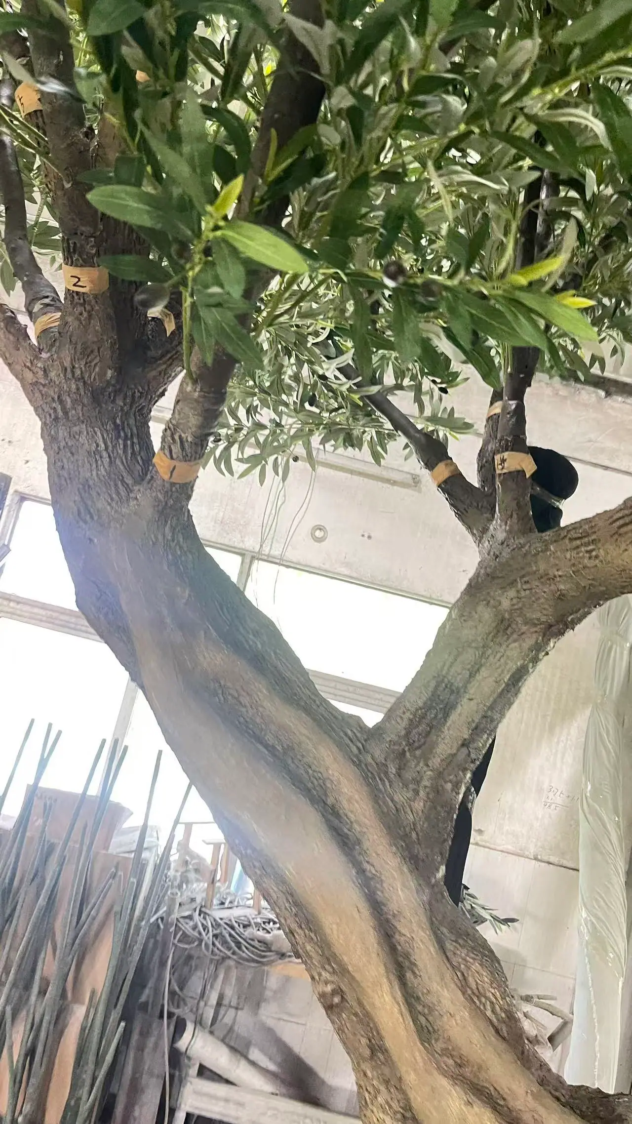Multi-trunk artificial olive tree under assembly with numbered branch tags